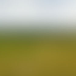 Riley Road Pasture - Nisland, SD