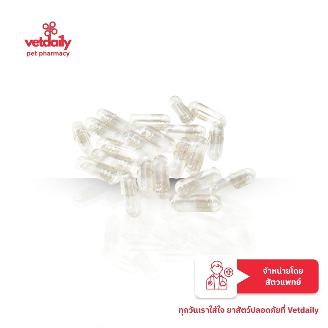Clear Capsule แคปซูลเปล่า No.0 NB / Clear capsule แคปซูลเปล่า No.0 (Pack/10s)