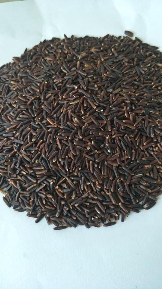 Riceberry surin