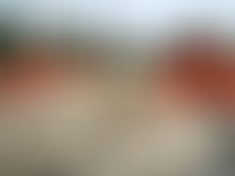 Le temple du Cheval Blanc (白马寺)