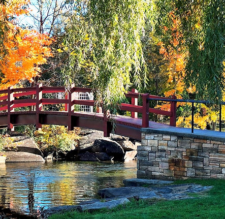 STEWARD PARK_edited.jpg