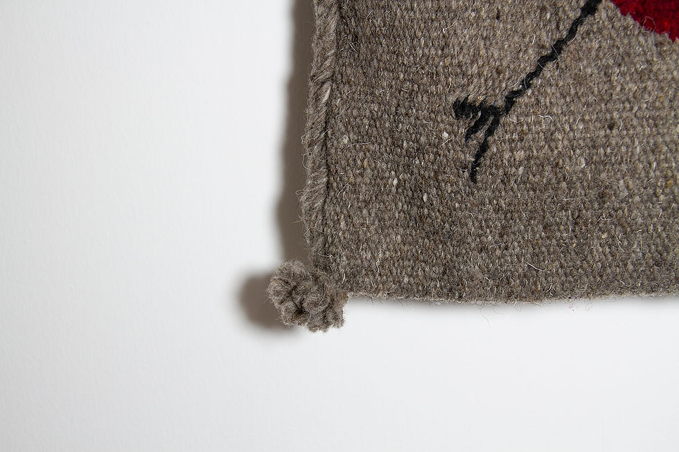 Miniatura: Yóllotl flechado gris humo