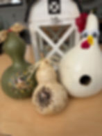 Gourd Birdhouse workshop