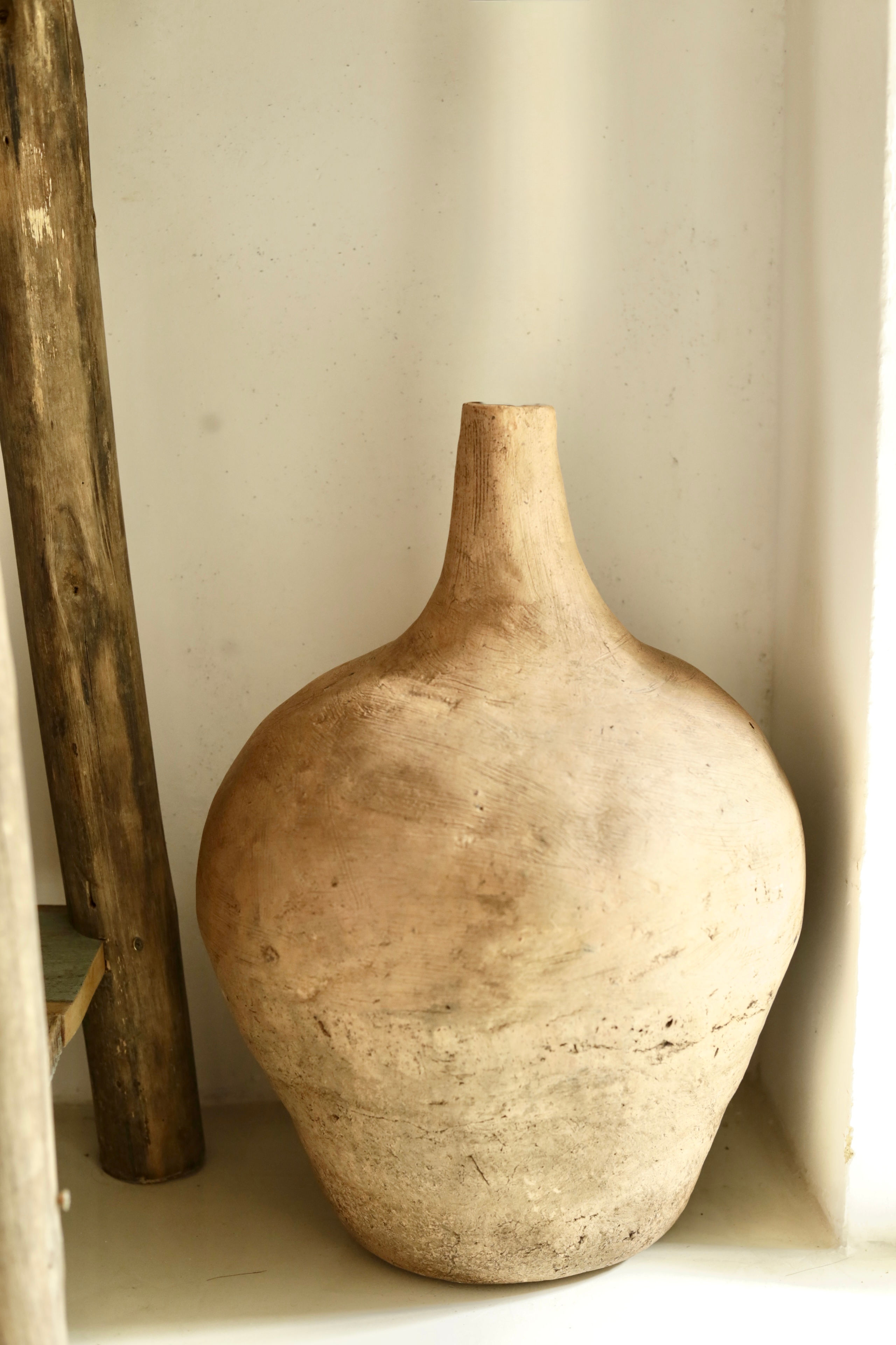 Moringa rústica G