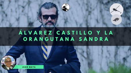 Álvarez Castillo y la Orangutana Sandra