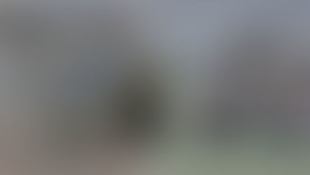 ¿POR QUÉ LA DESTRUCCIÓN DEL CAPITALISMO NO ES CREATIVA?