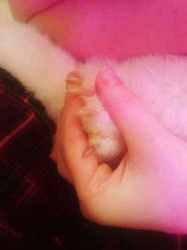 received_261495078255432.jpeg