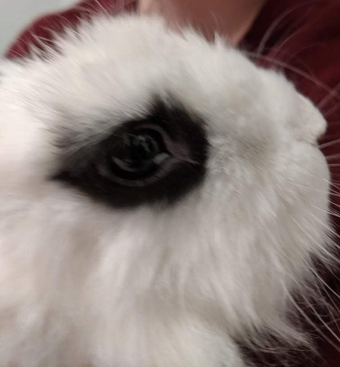 received_284129437061786.jpeg
