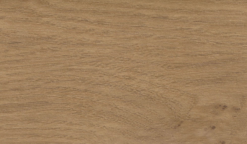 Quercia Irlandese - 2013L