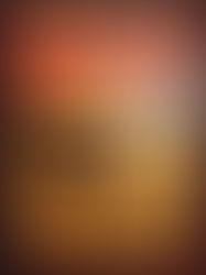 Noli Indian School Gathering