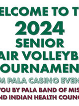 2024 Senior Chair Volleyball Tournament