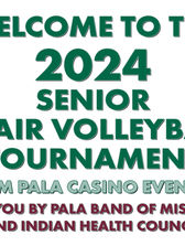 2024 Senior Chair Volleyball Tournament