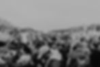 Large Group of Advocates for Change