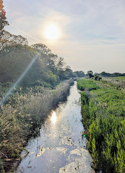 bridge view.jpg