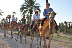 2011-06-13-CAMEL