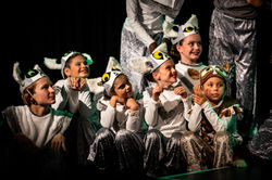 MadagascarJr2022-6020