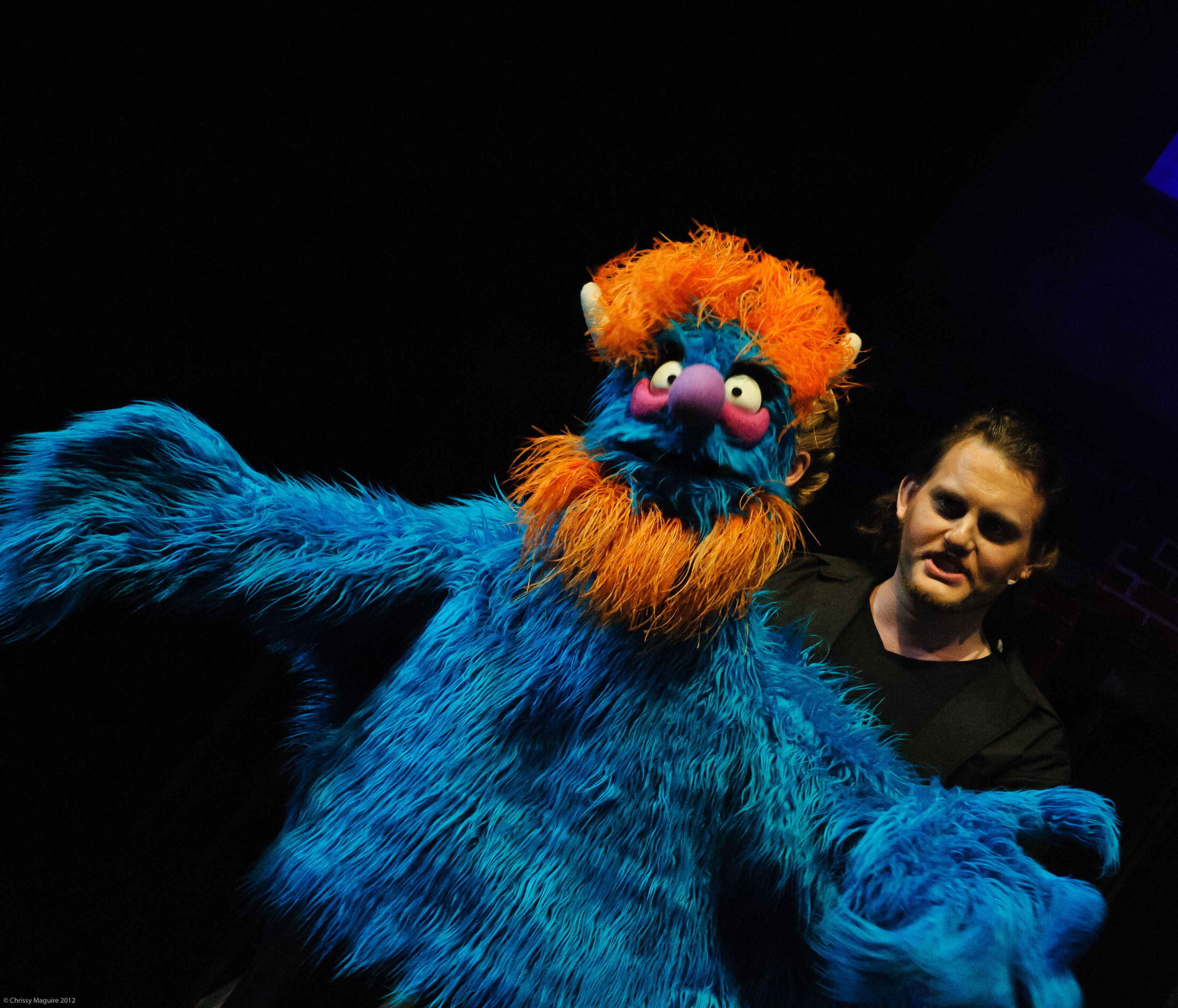 © Chrissy Maguire 2011.jpg