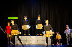 MadagascarJr Tech2 2022-6403