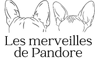 Capture d’écran 2023-10-18 à 01.03.32.png