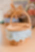 embroidered-basket-liner.jpg