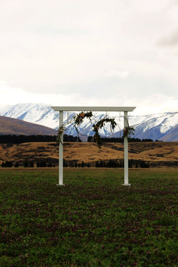 Arch $100 hoops $5 each