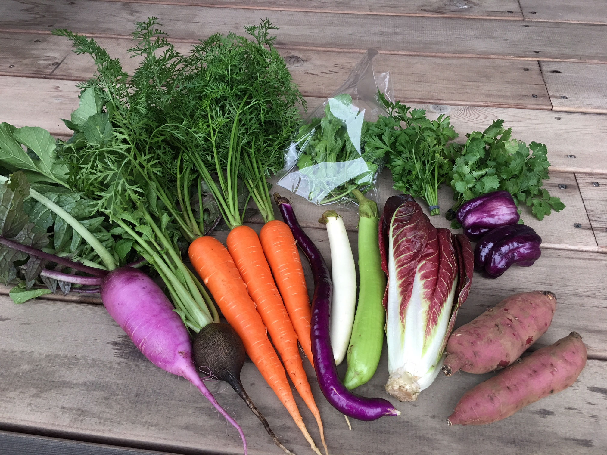 オリーブ農家の野菜セット M/Olive Farmer's Vegetable Box M