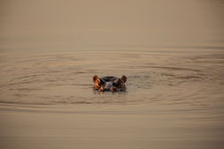 Nkala before lockdown14.jpg