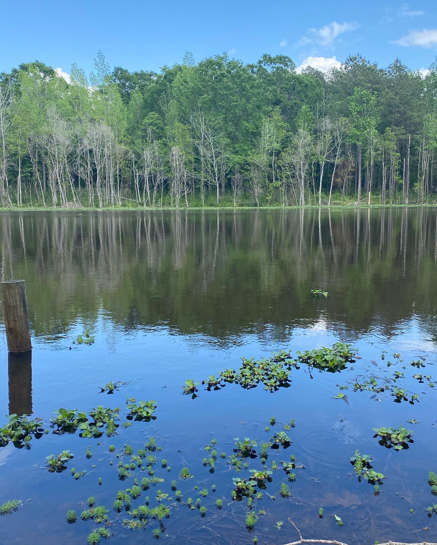 Calhoun Hills at 103 RV Park - Photo 2