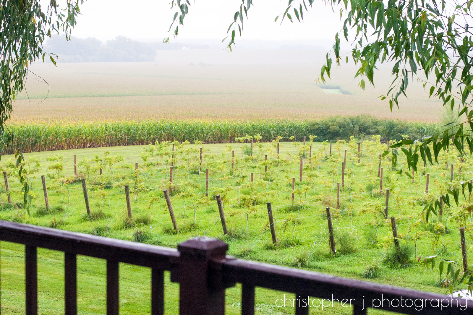 Red Barn  Farm Wedding  Venue  Northfield  MN 