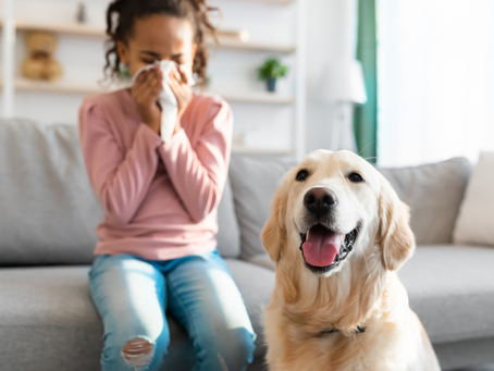 The Role of Professional House Cleaning Services in Allergy Prevention.