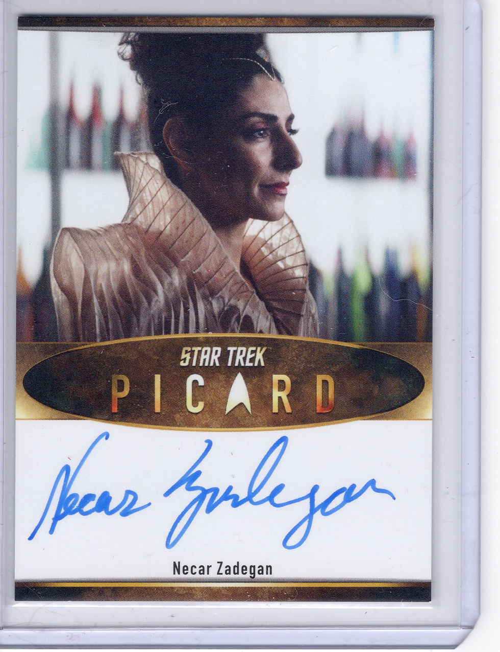 Necar Zadegan as Bjayzl Bordered - Limited