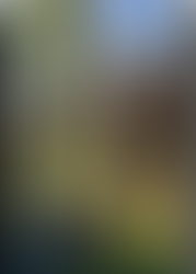 Elephant Plays The Drum Like A Pro