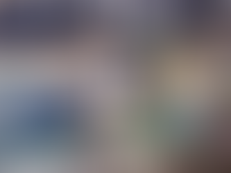 Classic Fight Between An Elephant And A Goose. Who wins?