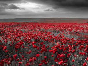 Two minutes changed my day.