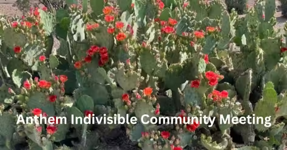 Anthem Indivisible Community Meeting - February 17, 2026