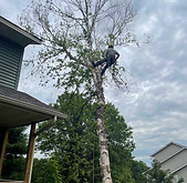 birch steve.jpeg