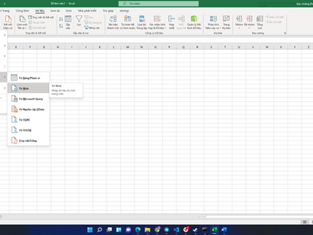 Dùng excel lấy Báo cáo tài chính trên website