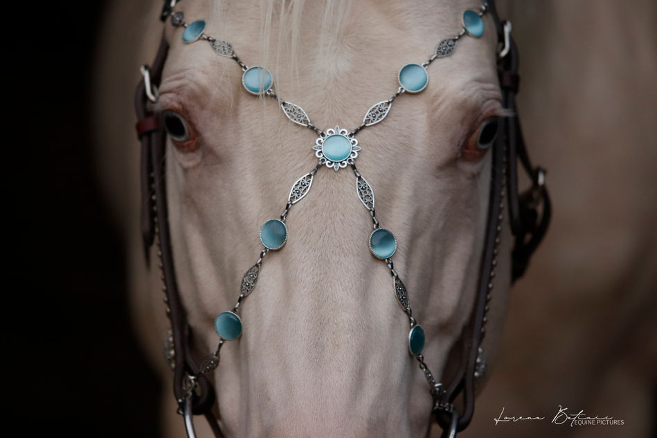 BMH Westernhorses, Deckhengst Blue Knight Power