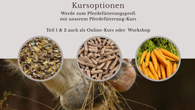 Pferdefütterung Kurs