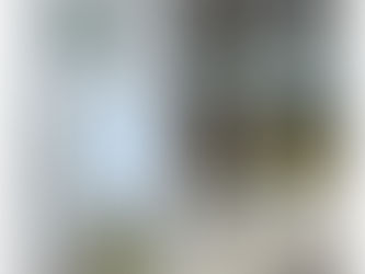 プランターの模様替え