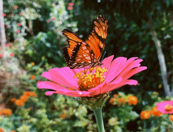 Floral Bold: A Primavera chegou!