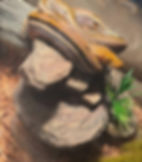 556889047_122104139223033248_2506940255972817214_n