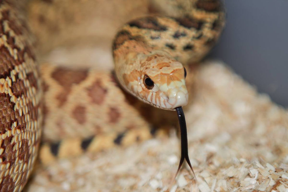 468737858_10160580794836500_6034337606174723663_n