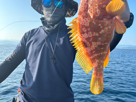 8月3日 SLJ&スピネギ🎣