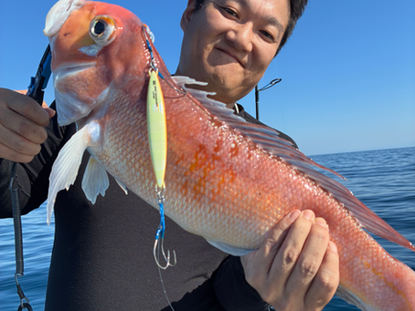 11月16日 スピネギ🎣