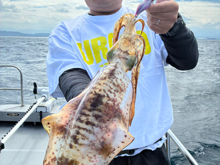 9/28 🐟沸いてます!