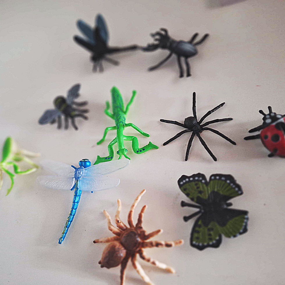 Thumbnail: insecten traktatie