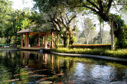 Chayana Resort