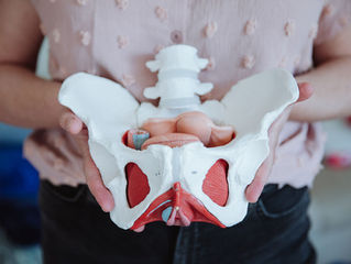 Introducing Adult Pelvic Health Services at Sensory Explorers