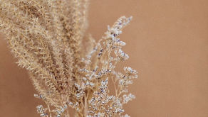 Simple But Effective Sustainability Tricks YOU Can Do, To Begin Having A More Positive Effect On The